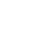Asset 8